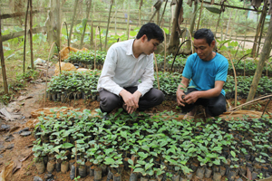 Ông Bùi Văn Hền (bên phải ảnh) luôn nhiệt tình và sẵn sàng chia sẻ kinh nghiệm ươm giống cây dổi cho các hộ dân trong xã.

